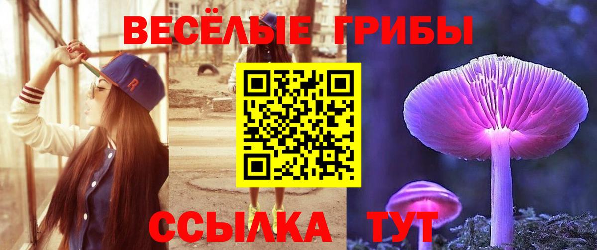 Бутират Саранск
