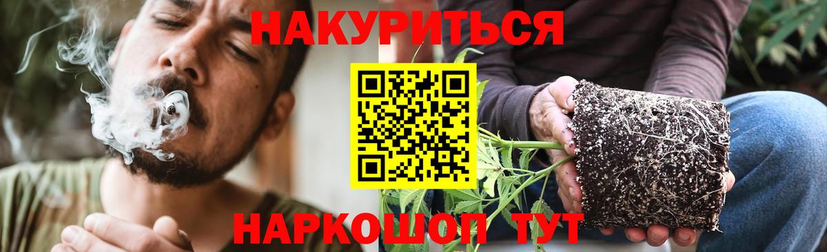 Каннабис тримм Саранск